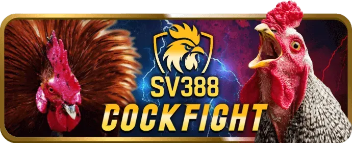 Trò chơi máy đánh bạc ibet88